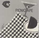 Picnic Ape 45 - Back